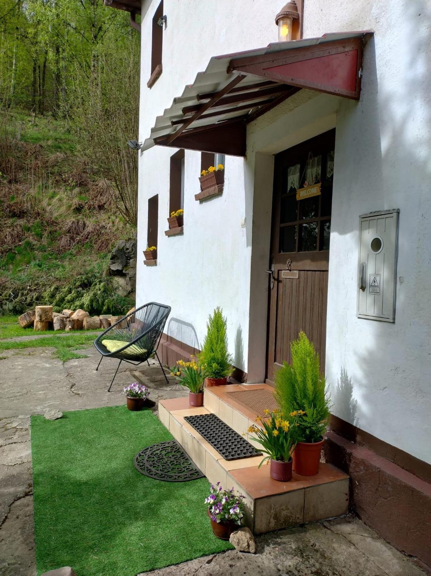 Homestay Pod Mala Sowa *