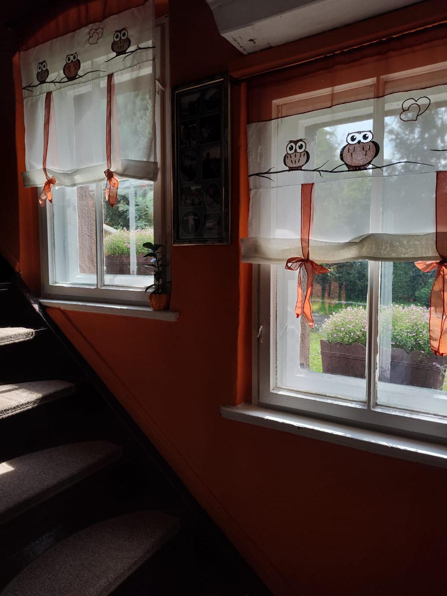Pod Mala Sowa Homestay